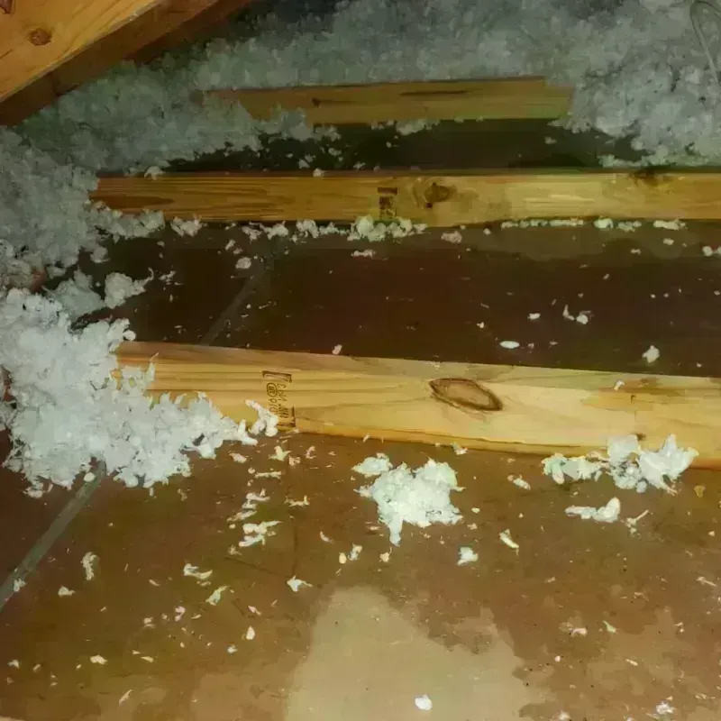 Attic Water Damage in Cornville, ME